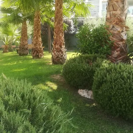 Tu Espacio De Relax En San Juan Alicante